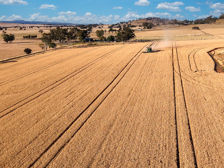 530 Billimari Road, Cowra, NSW, 2794 - Image 1