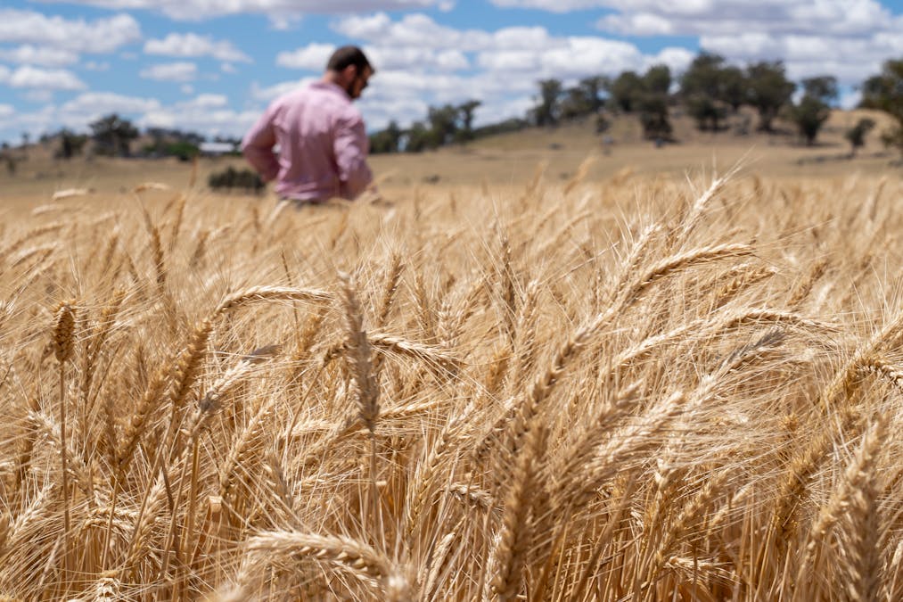 530 Billimari Road, Cowra, NSW, 2794 - Image 5