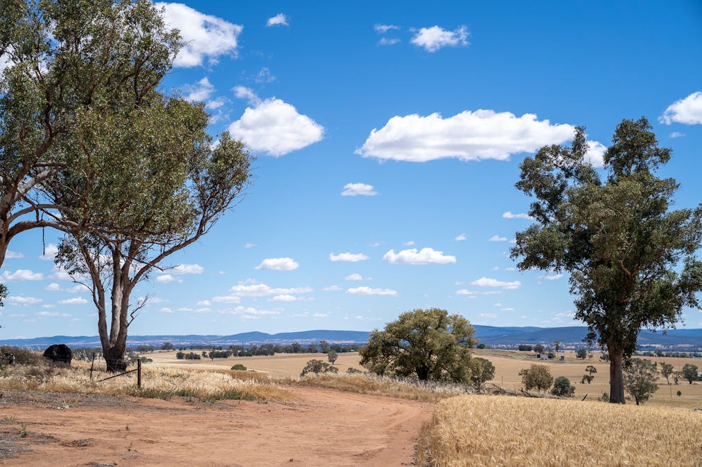 530 Billimari Road, Cowra, NSW, 2794 - Image 8