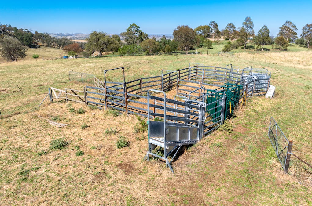 134 Kirribili Road, Canowindra, NSW, 2804 - Image 7