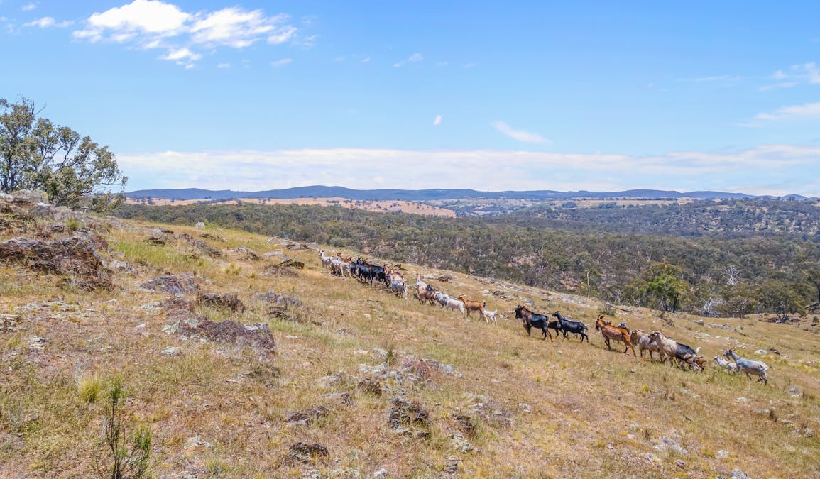 1884 Lower Lewis Ponds Road, Ophir, NSW, 2800 - Image 14