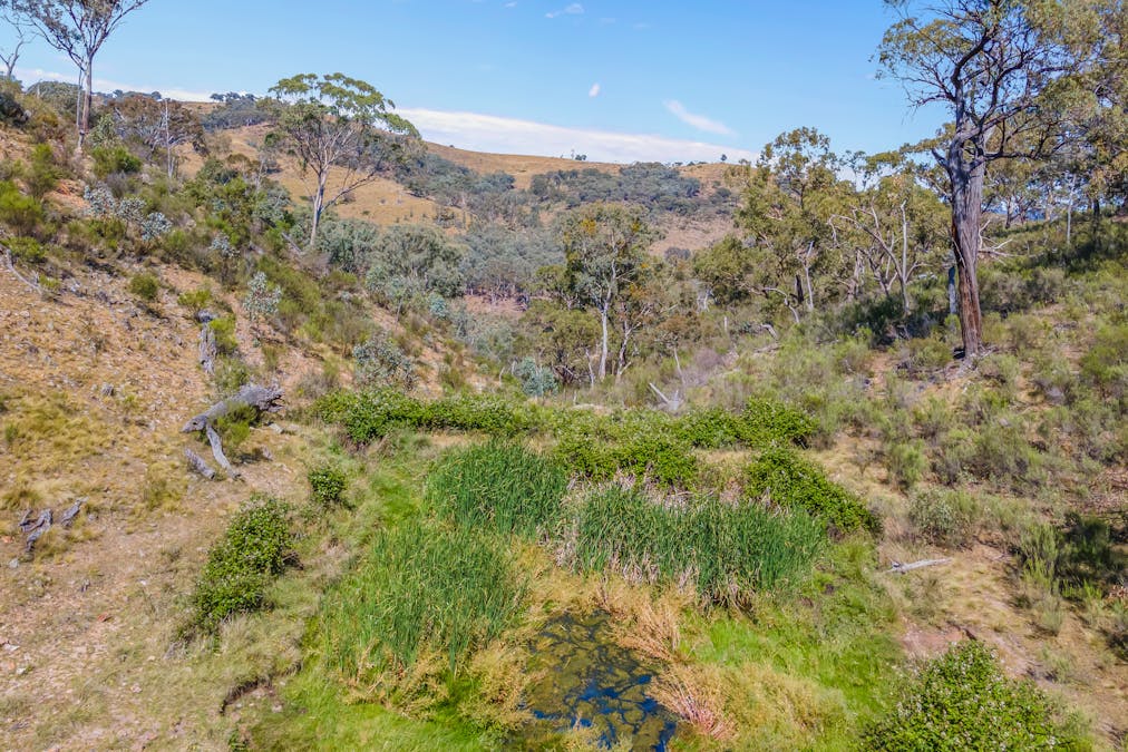 1884 Lower Lewis Ponds Road, Ophir, NSW, 2800 - Image 21