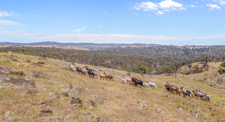 1884 Lower Lewis Ponds Road, Ophir, NSW, 2800 - Image 1