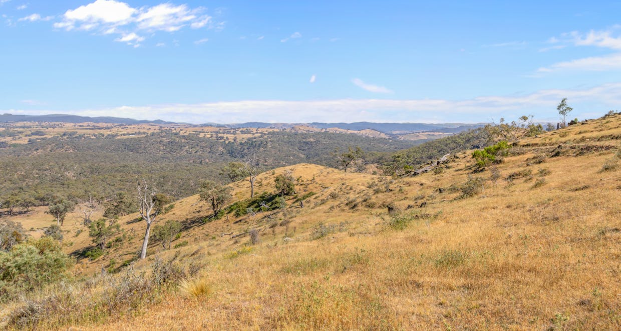 1884 Lower Lewis Ponds Road, Ophir, NSW, 2800 - Image 23