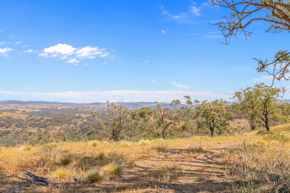 1884 Lower Lewis Ponds Road, Ophir, NSW, 2800 - Image 25