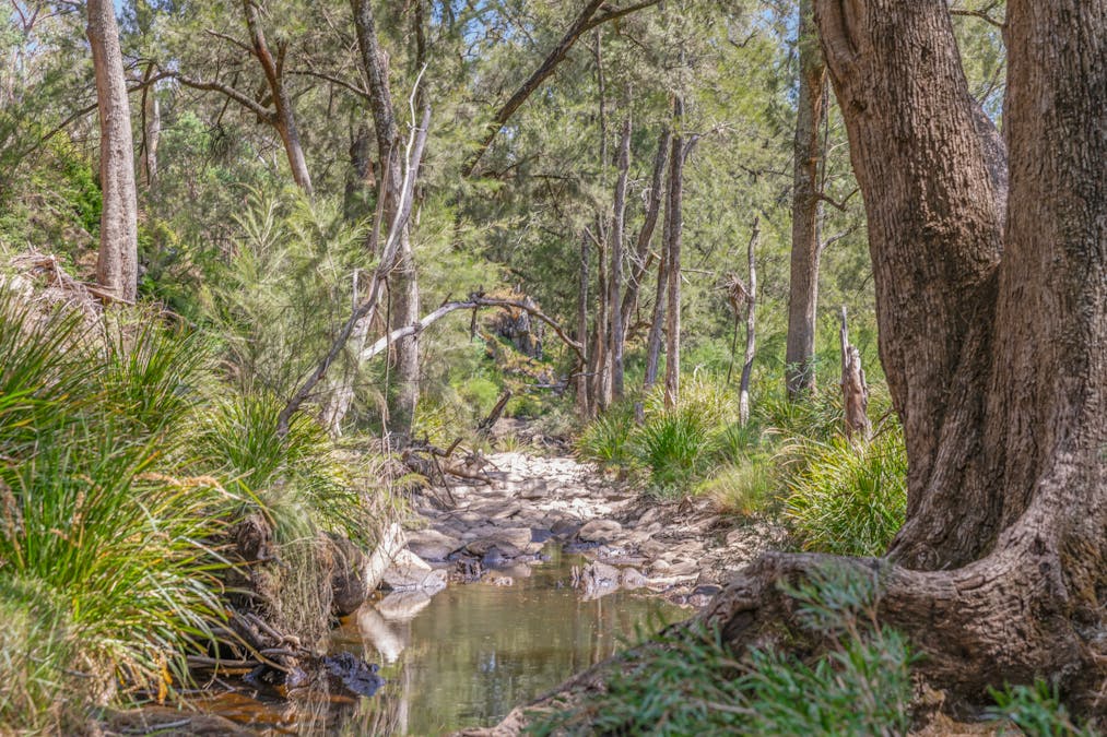 1884 Lower Lewis Ponds Road, Ophir, NSW, 2800 - Image 15