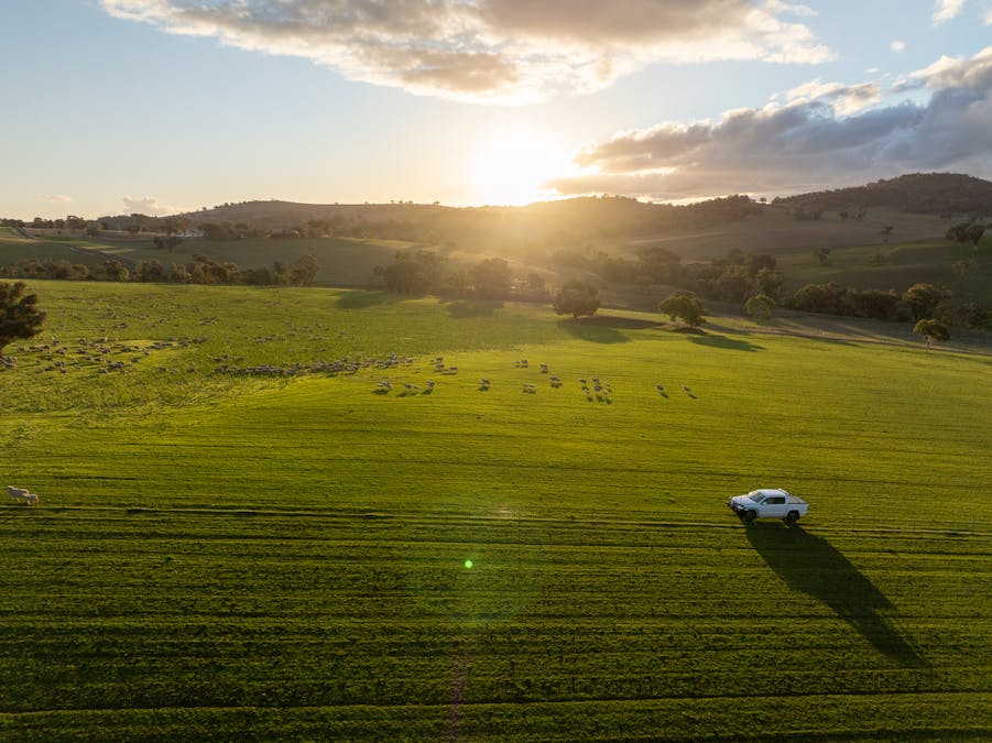 1507 Pine Mount Road, Woodstock, NSW, 2793 - Image 9