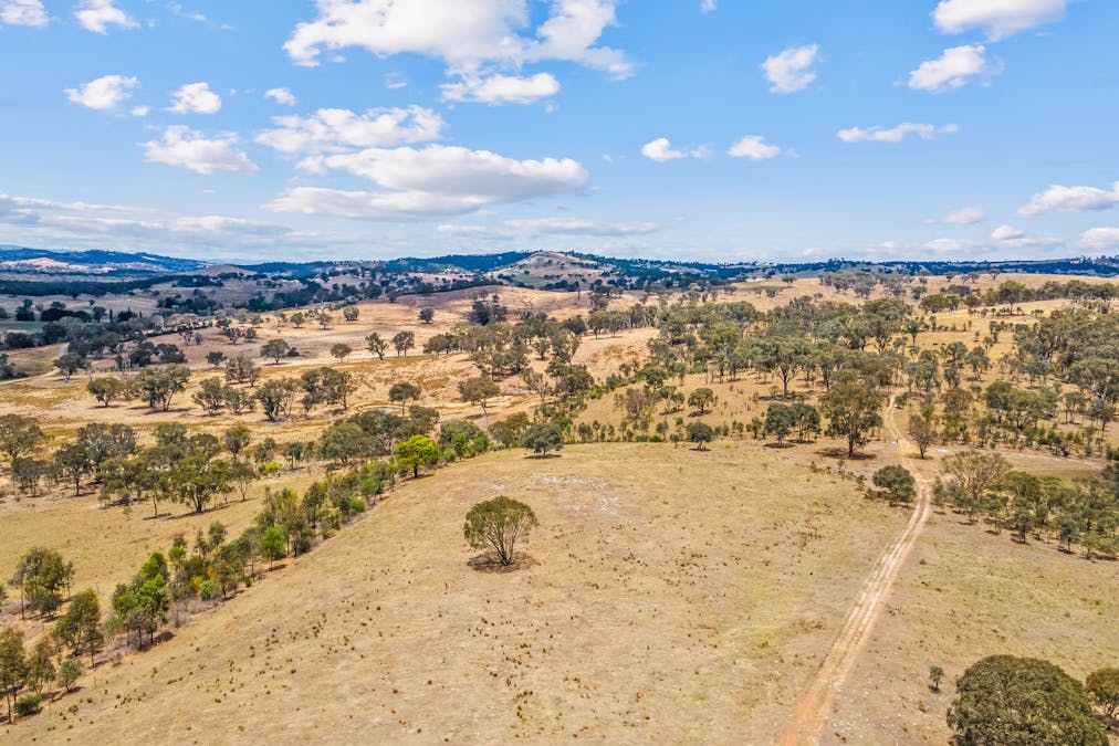 748 Turondale Road, Duramana, NSW, 2795 - Image 10