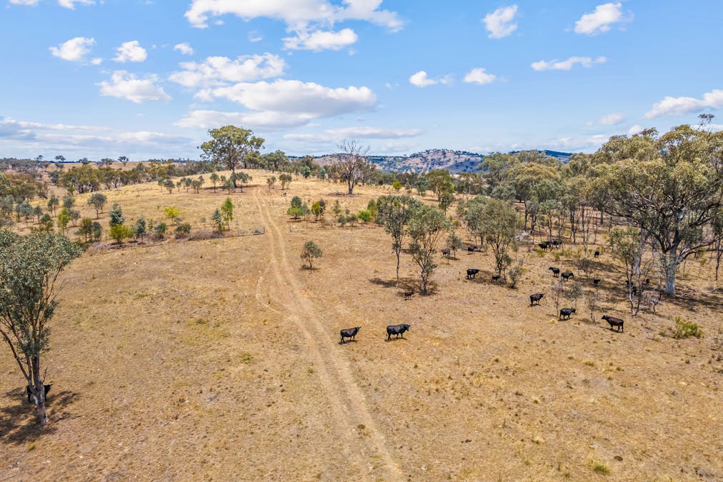 748 Turondale Road, Duramana, NSW, 2795 - Image 12
