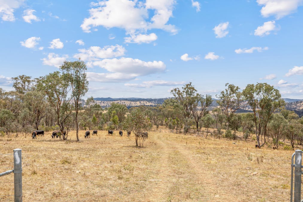 748 Turondale Road, Duramana, NSW, 2795 - Image 8
