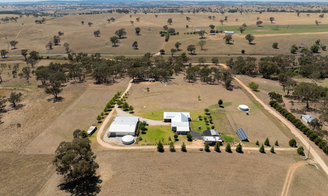 1237 Peabody Road, Molong, NSW, 2866 - Image 20