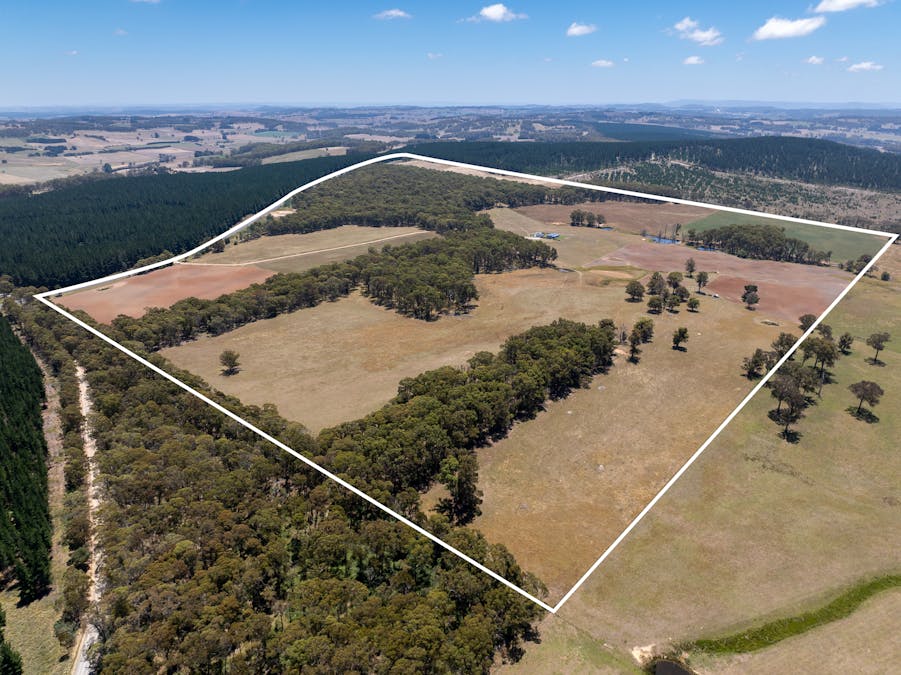 951 Shooters Hill Road, Chatham Valley, NSW, 2787 - Image 4