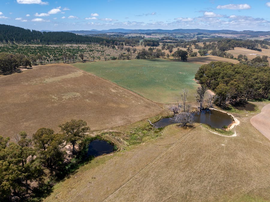 951 Shooters Hill Road, Chatham Valley, NSW, 2787 - Image 28