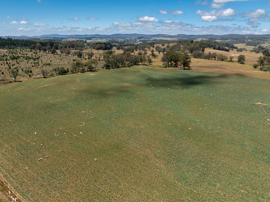 951 Shooters Hill Road, Chatham Valley, NSW, 2787 - Image 29