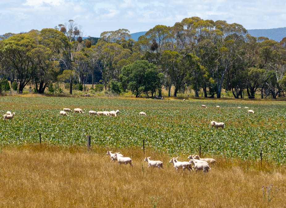 951 Shooters Hill Road, Chatham Valley, NSW, 2787 - Image 25