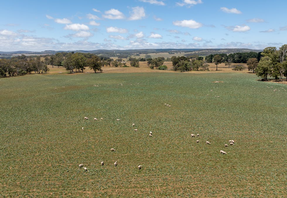 951 Shooters Hill Road, Chatham Valley, NSW, 2787 - Image 30