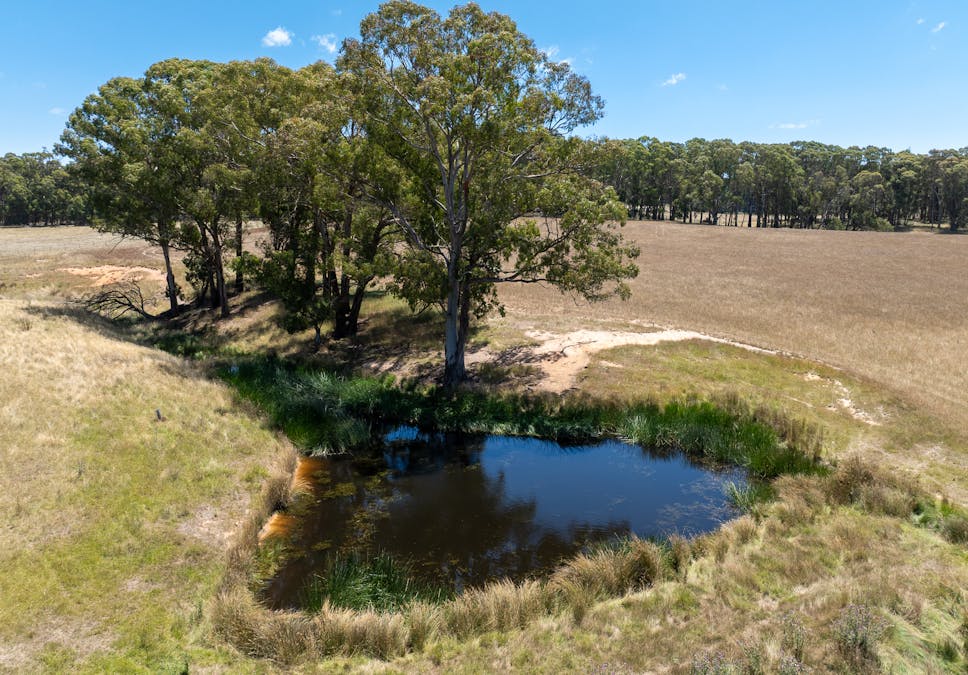 951 Shooters Hill Road, Chatham Valley, NSW, 2787 - Image 23