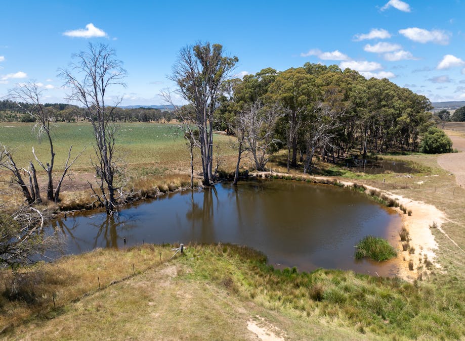 951 Shooters Hill Road, Chatham Valley, NSW, 2787 - Image 24