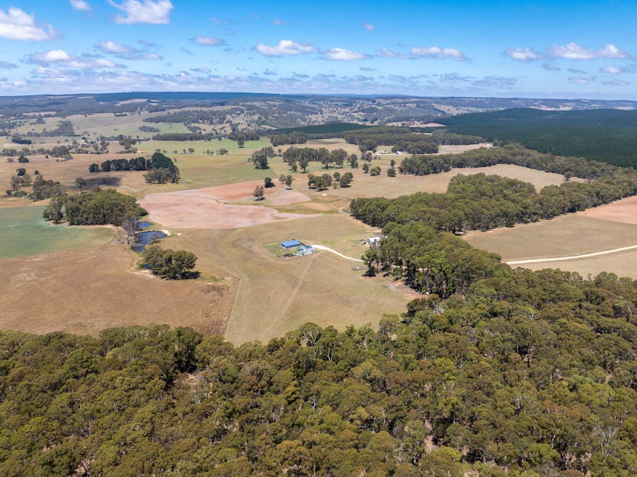 951 Shooters Hill Road, Chatham Valley, NSW, 2787 - Image 31