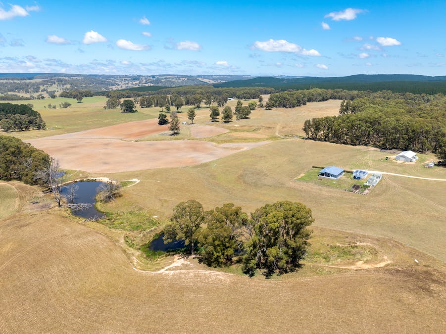 951 Shooters Hill Road, Chatham Valley, NSW, 2787 - Image 2