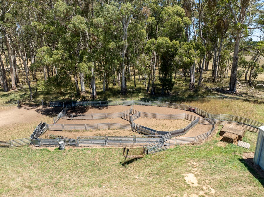 951 Shooters Hill Road, Chatham Valley, NSW, 2787 - Image 22