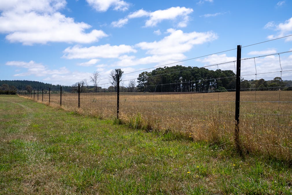 951 Shooters Hill Road, Chatham Valley, NSW, 2787 - Image 34