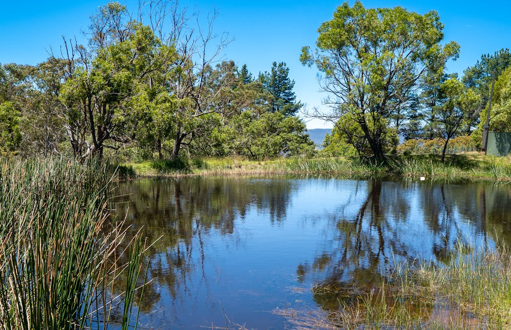 84 Marsden Swamp Road, Ganbenang, NSW, 2790 - Image 31