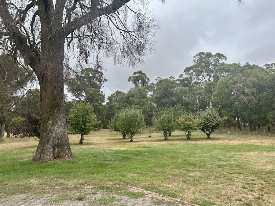 167 Hazelgrove Road, Oberon, NSW, 2787 - Image 23