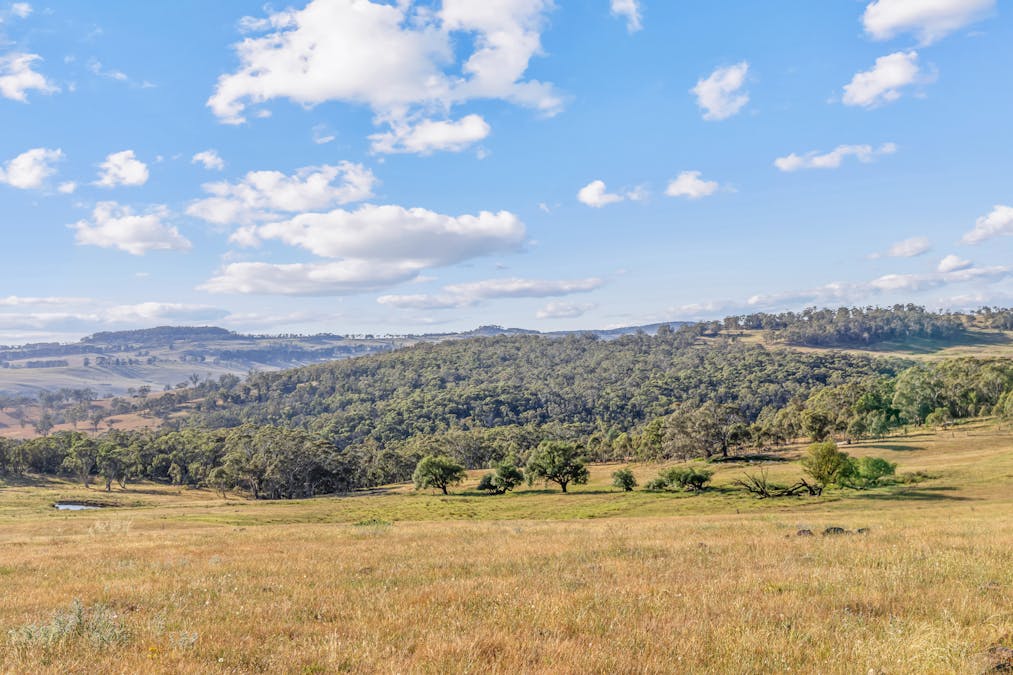 760 Jerrys Meadow Road, Sodwalls, NSW, 2790 - Image 27