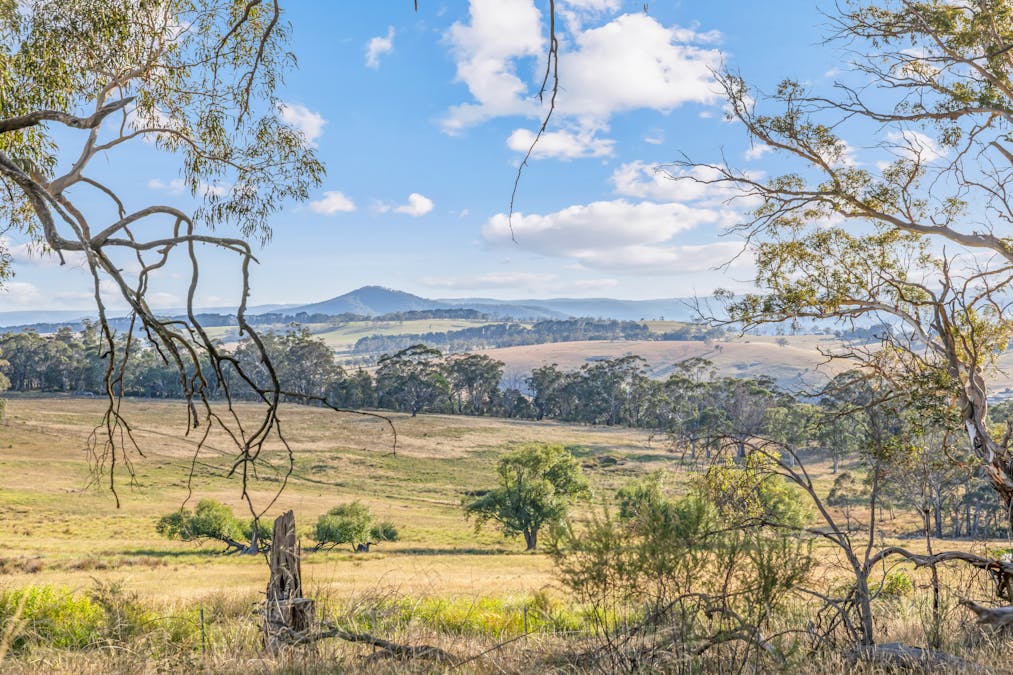 760 Jerrys Meadow Road, Sodwalls, NSW, 2790 - Image 29