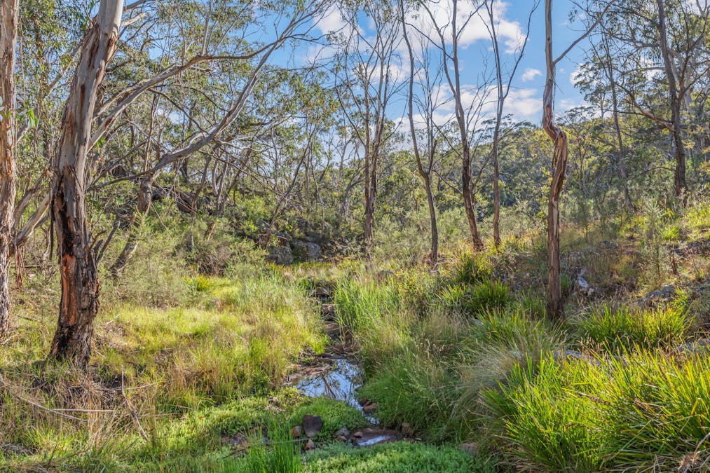 760 Jerrys Meadow Road, Sodwalls, NSW, 2790 - Image 30