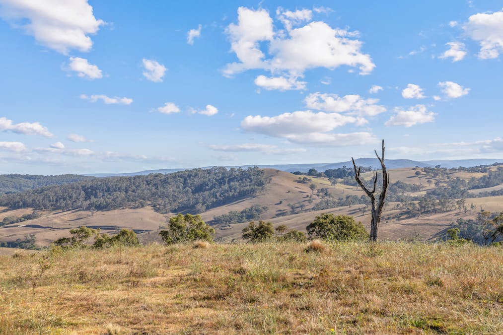 760 Jerrys Meadow Road, Sodwalls, NSW, 2790 - Image 33