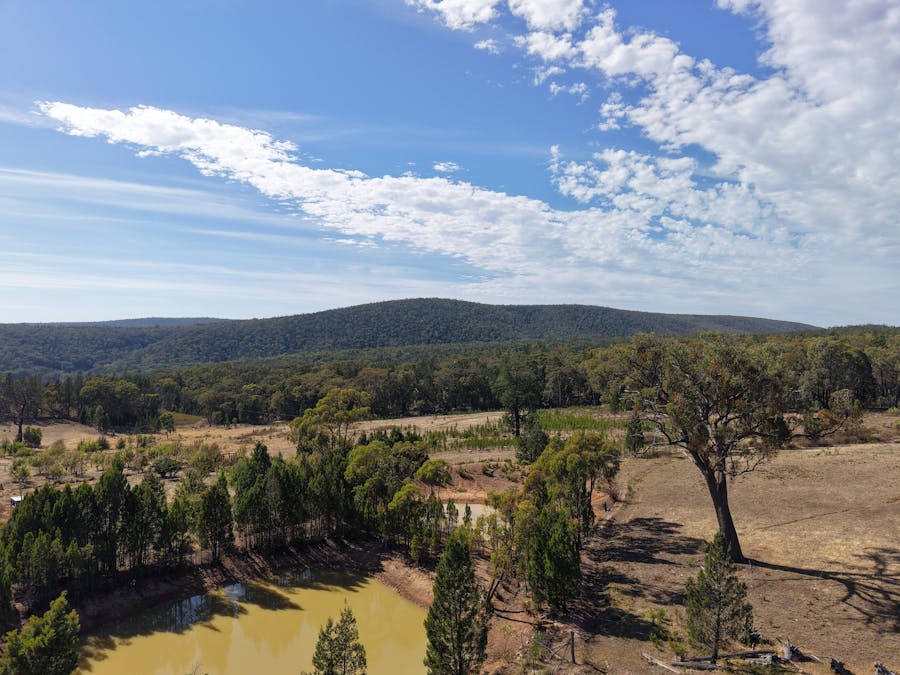 880 Major West Road, (Bumbaldry), Cowra, NSW, 2794 - Image 1