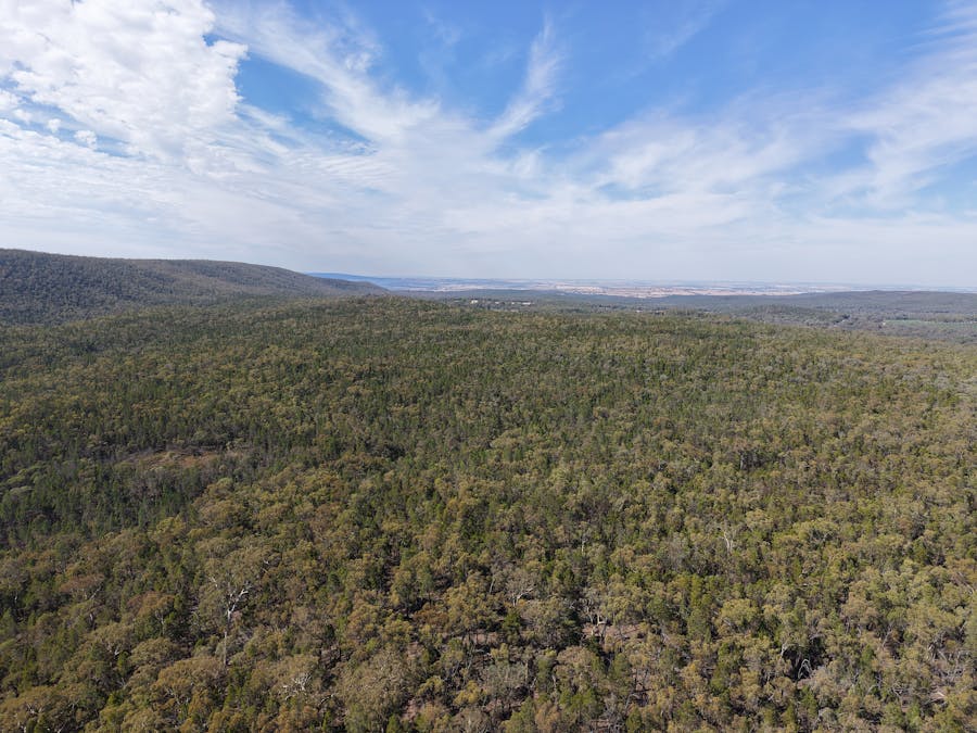 880 Major West Road, (Bumbaldry), Cowra, NSW, 2794 - Image 12