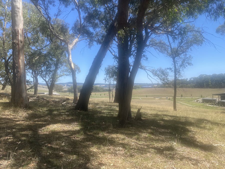 25 Beattie Road, Oberon, NSW, 2787 - Image 5