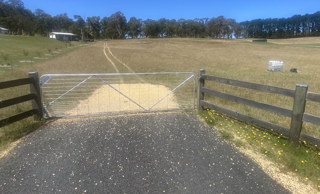 25 Beattie Road, Oberon, NSW, 2787 - Image 7