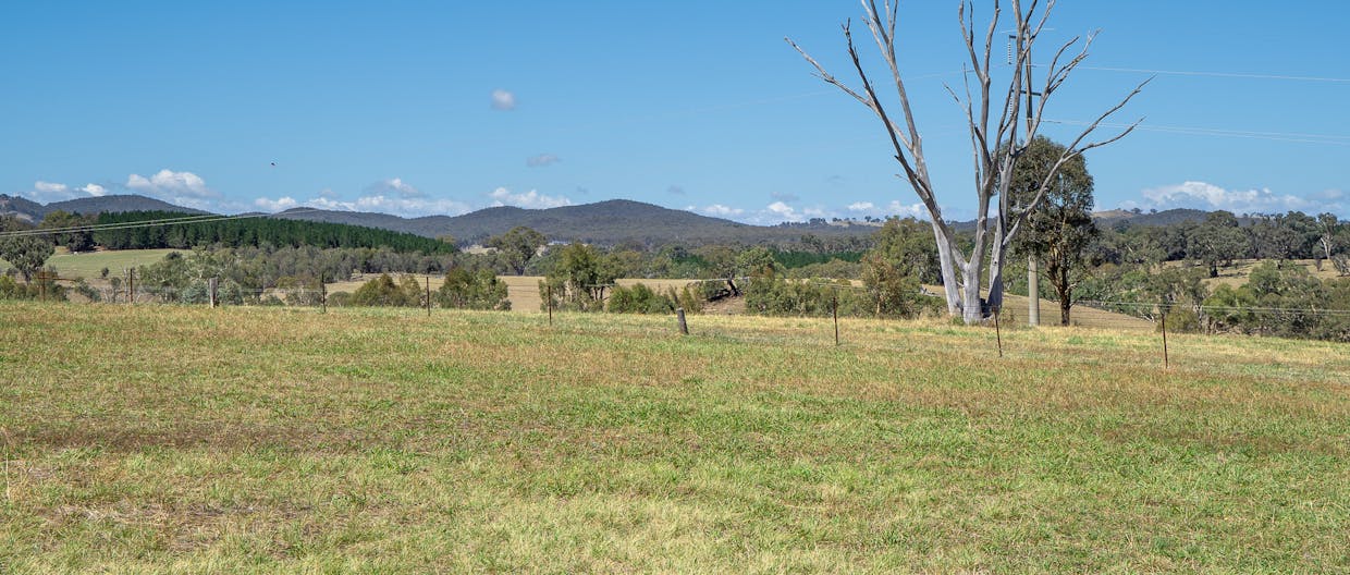 1825 Mutton Falls Road, O'connell, NSW, 2795 - Image 16