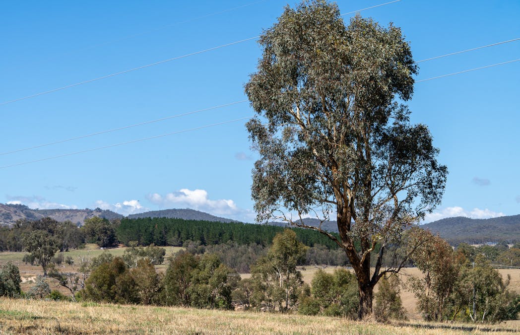 1825 Mutton Falls Road, O'connell, NSW, 2795 - Image 20