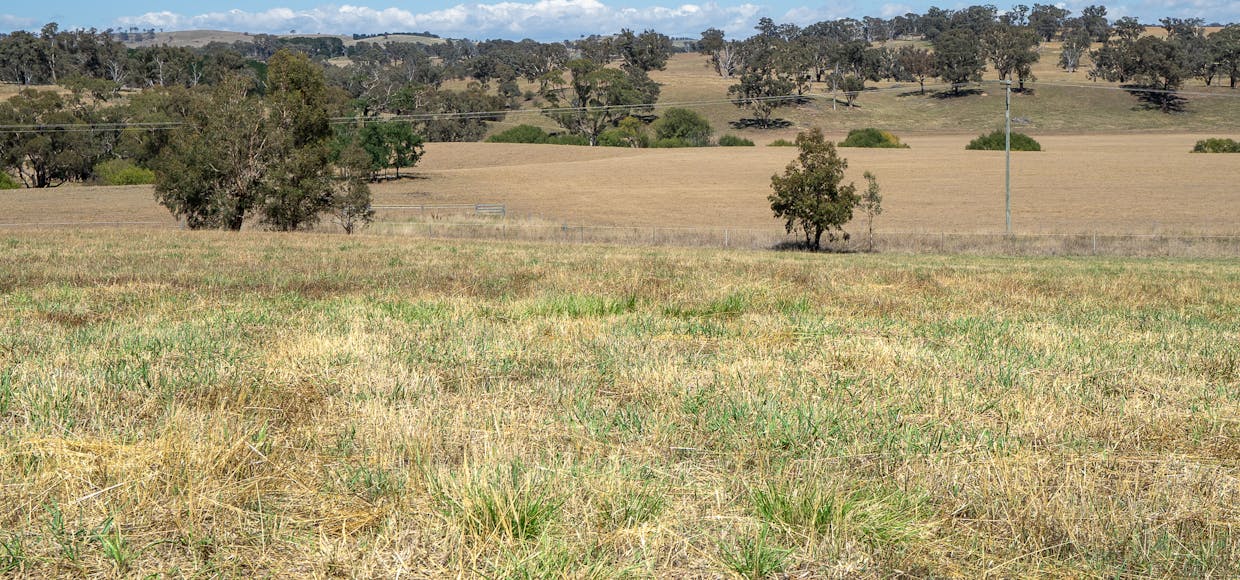 1825 Mutton Falls Road, O'connell, NSW, 2795 - Image 21