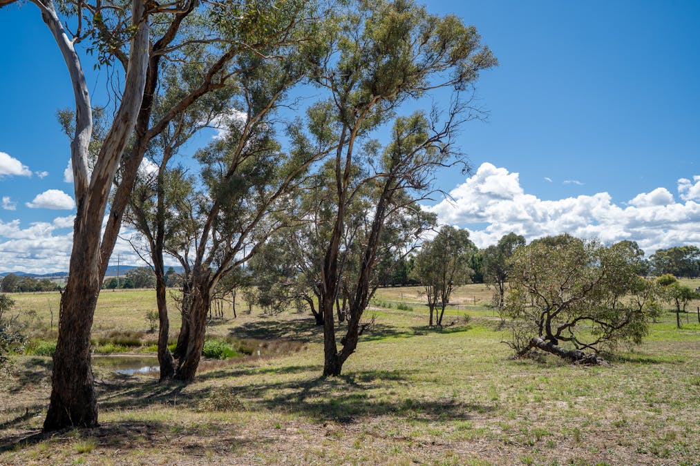 1825 Mutton Falls Road, O'connell, NSW, 2795 - Image 25