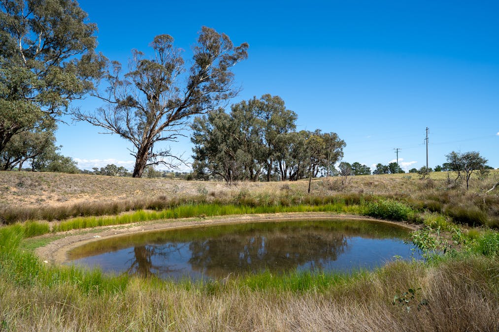 1825 Mutton Falls Road, O'connell, NSW, 2795 - Image 4