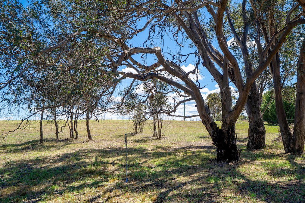 1825 Mutton Falls Road, O'connell, NSW, 2795 - Image 27