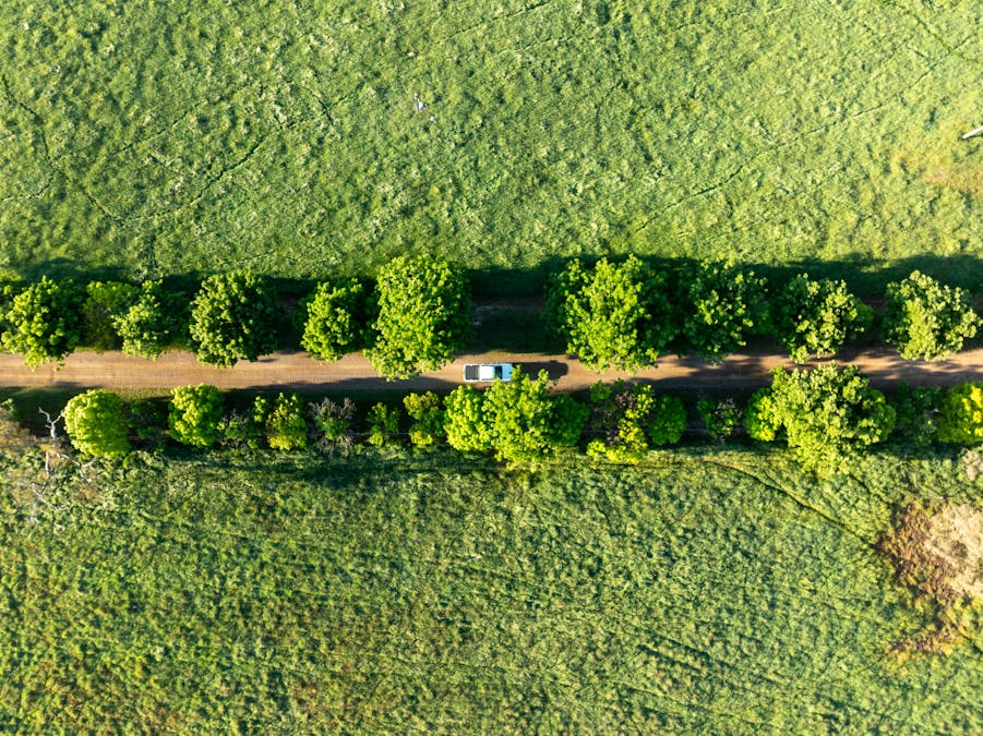 141 Horspool Way, Orange, NSW, 2800 - Image 27