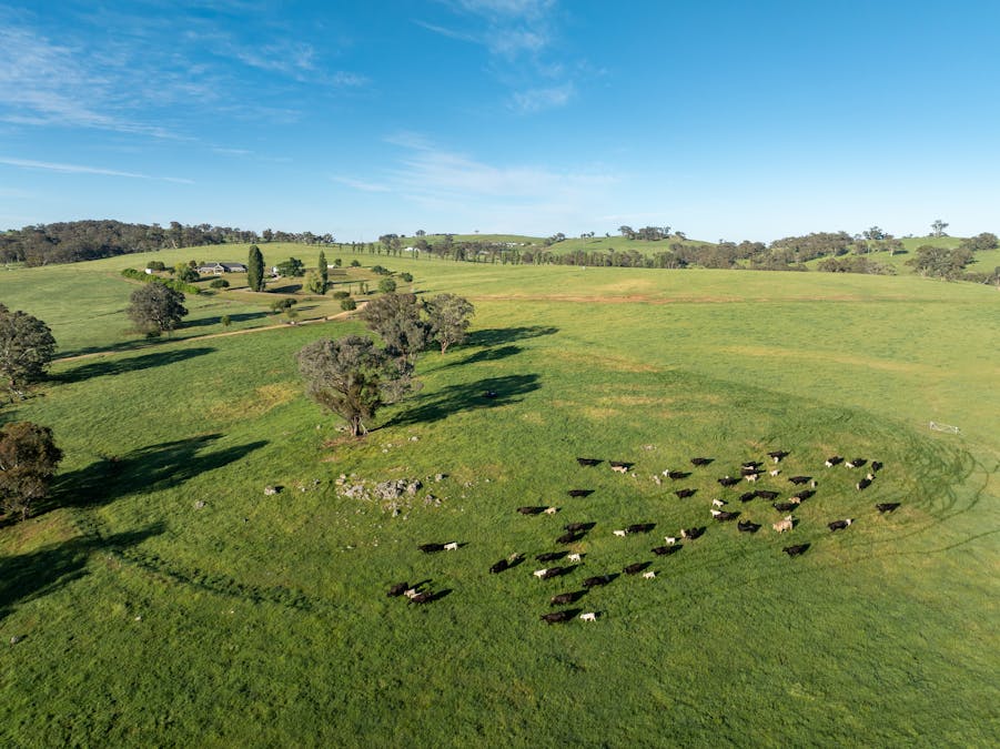 141 Horspool Way, Orange, NSW, 2800 - Image 19