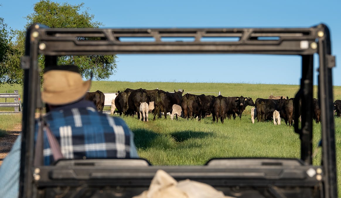 141 Horspool Way, Orange, NSW, 2800 - Image 21