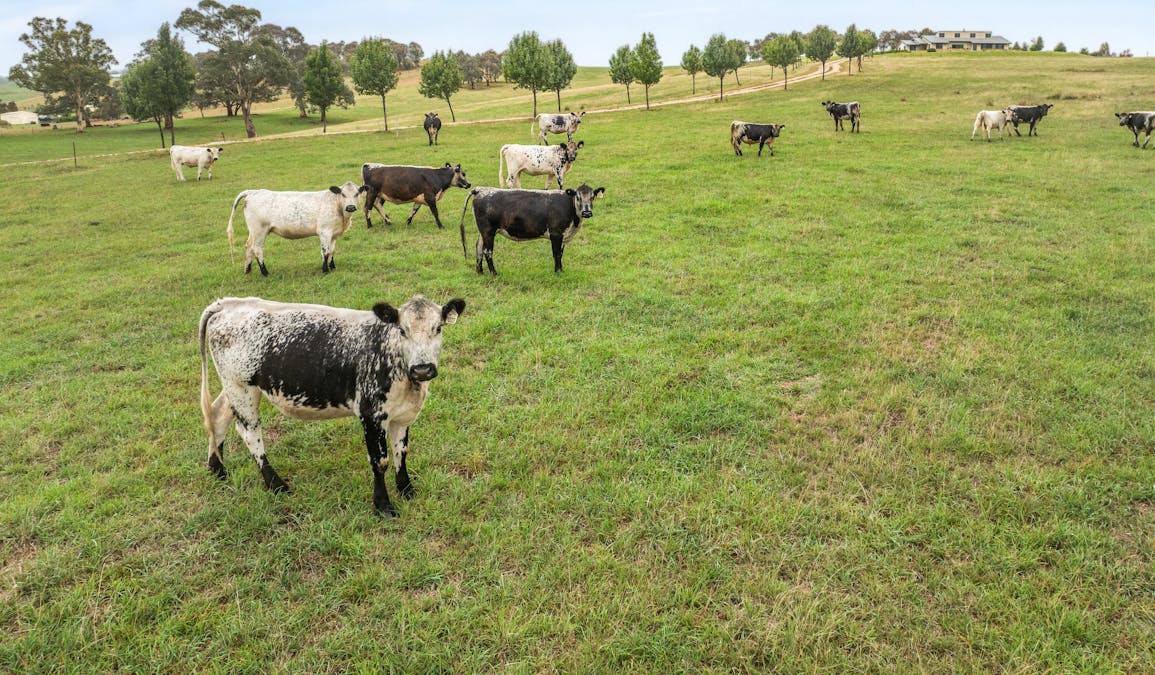 500 Portland Sunny Corner Road, Portland, NSW, 2847 - Image 20