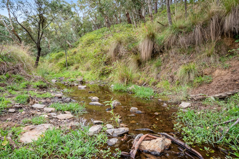 500 Portland Sunny Corner Road, Portland, NSW, 2847 - Image 23