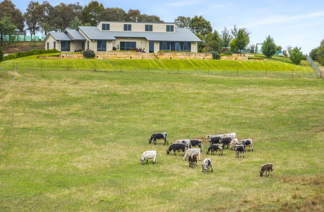 500 Portland Sunny Corner Road, Portland, NSW, 2847 - Image 1