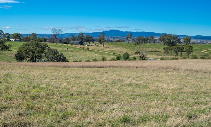 614 Peabody Road, Molong, NSW, 2866 - Image 1