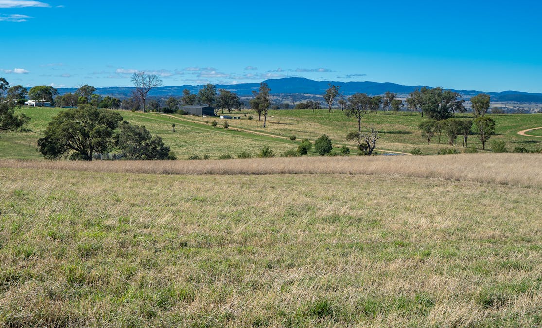 614 Peabody Road, Molong, NSW, 2866 - Image 1